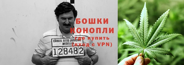 apvp Верея