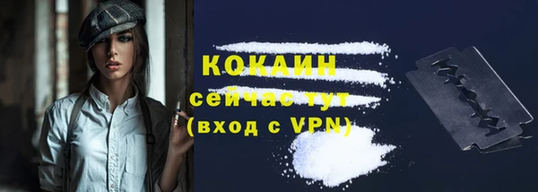 apvp Верея