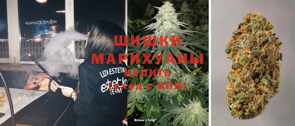 сатива Верхний Тагил