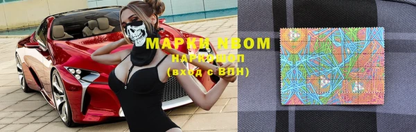 apvp Верея