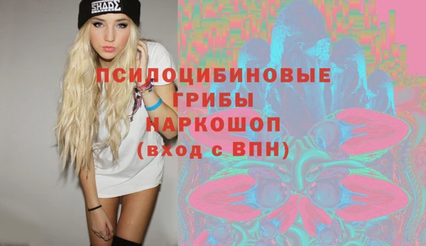 сатива Верхний Тагил