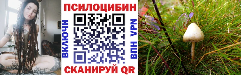 Галлюциногенные грибы ЛСД  Гремячинск 